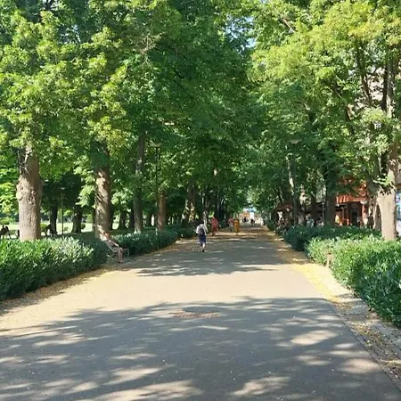 Spa Residence Podebrady Διαμέρισμα